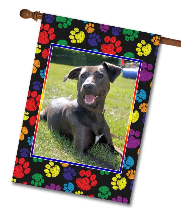 Rainbow Paw Prints – Personalized Photo & Name – Garden Flag & House Flag